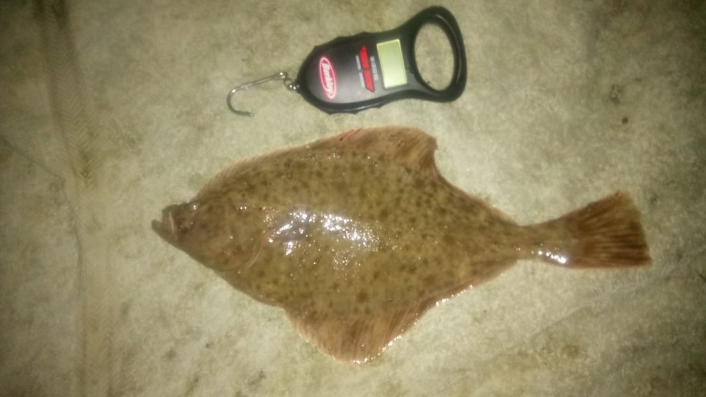 Finally Flounder