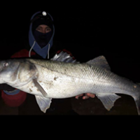 A huge Bass and the Flounders are finally in!