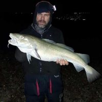 Classic Chesil fishing with double figure Cod