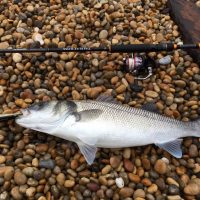 If only I had a better rod – the best £150 you will spend