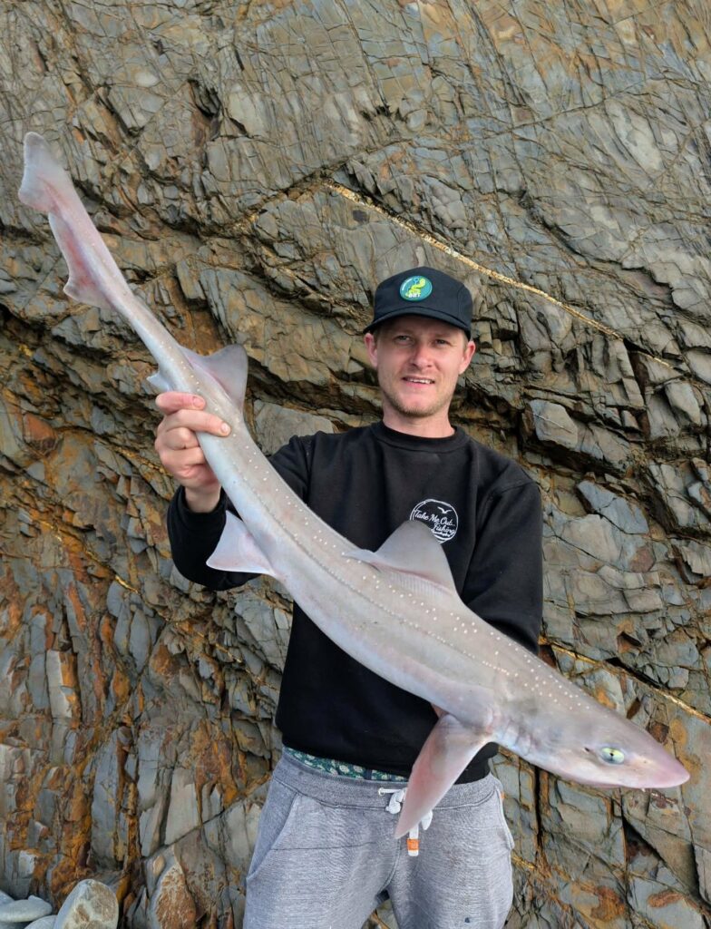 The Hounds Are Back: Your Ultimate Guide to Early-Season Smoothhound Success